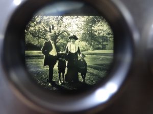 zamek-ksiaz-walbrzych