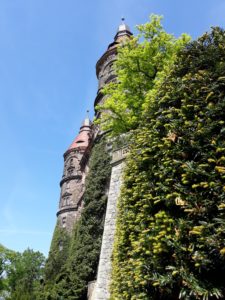 zamek-ksiaz-walbrzych