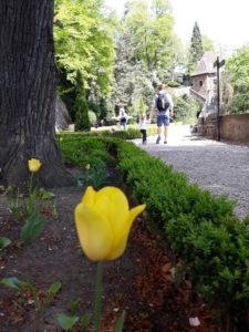 zamek-ksiaz-walbrzych