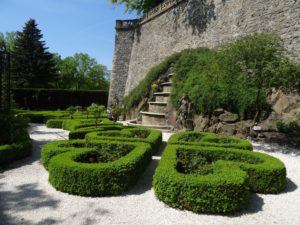 zamek-ksiaz-walbrzych