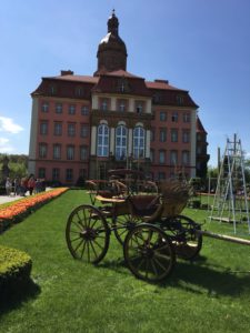 zamek-ksiaz-walbrzych