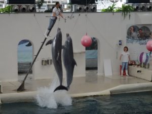 bułgaria-złote-piaski