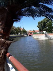 rejs-po-odrze-wroclaw