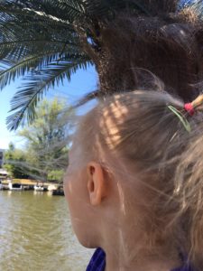 rejs-po-odrze-wroclaw