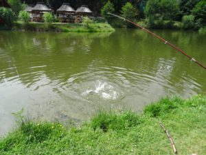 pokrzywna-lowisko-na-wyspie