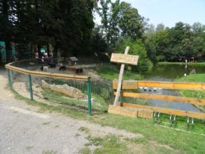 pokrzywna-lowisko-na-wyspie