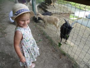 pokrzywna-lowisko-na-wyspie