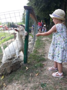 pokrzywna-lowisko-na-wyspie