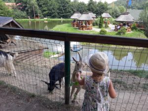 pokrzywna-lowisko-na-wyspie