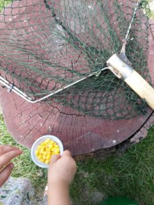 pokrzywna-lowisko-na-wyspie