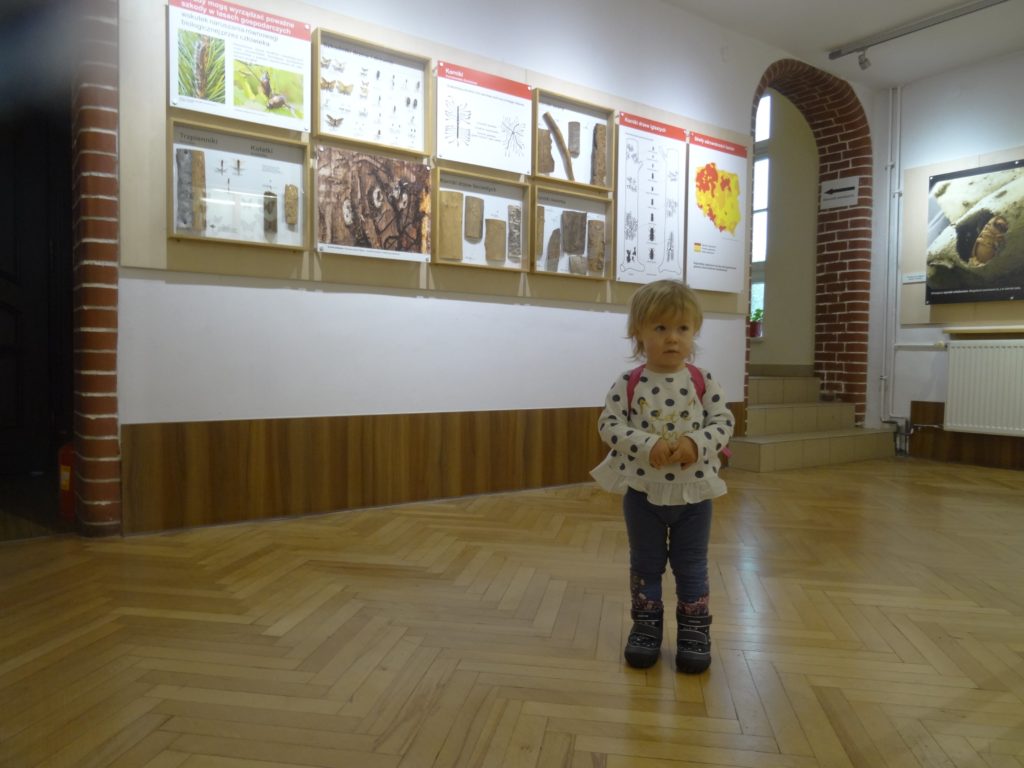 muzeum-przyrodnicze-wrocław