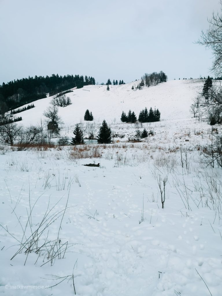 andrzejowka-zima
