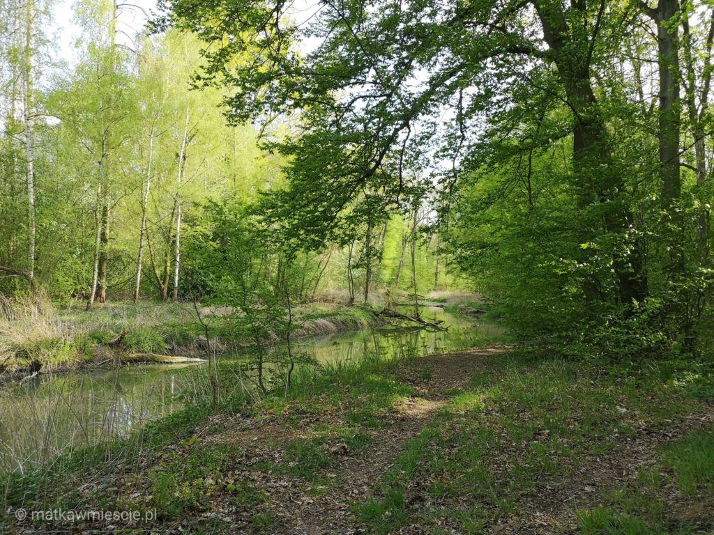 park-krajobrazowy-katy-wroclawskie