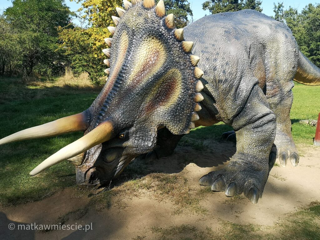 park-dinozaurów-lubin
