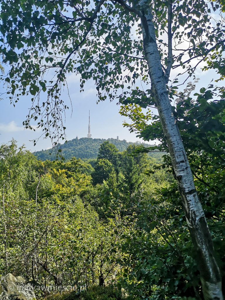 widok-na-ślężę-z-olbrzymków