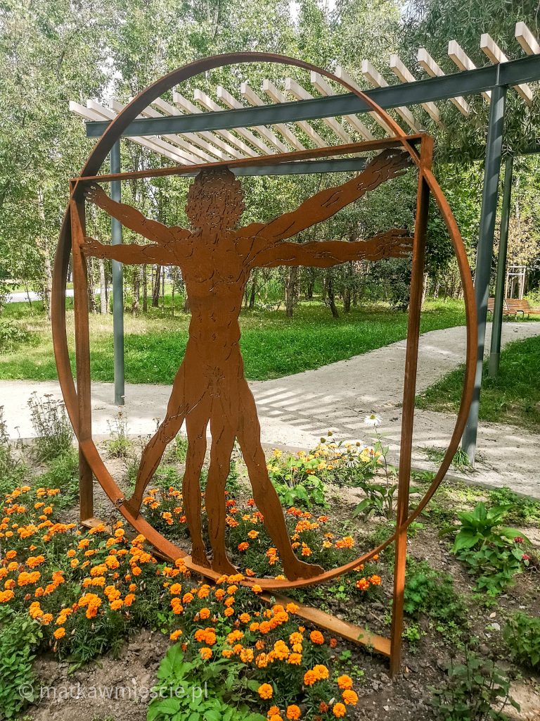 człowiek-witruwiański