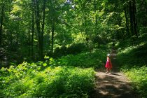 ksiazanski-park-krajobrazowy