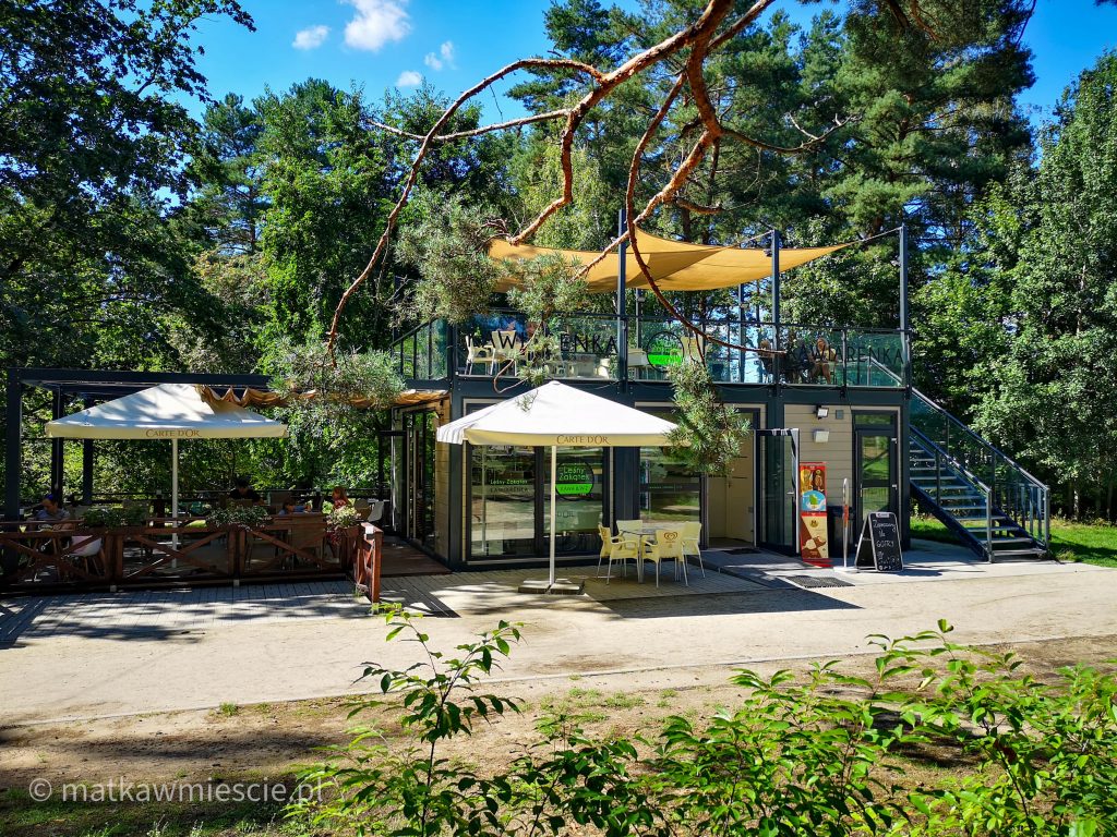 park-lesny-kawiarnia