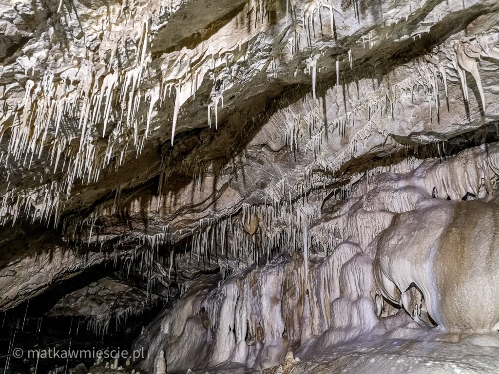 jaskinia-niedzwiedzia-stalaktyty