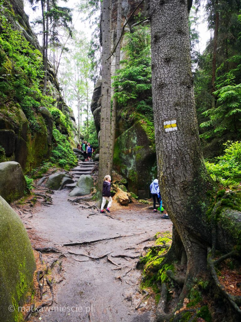 adrspach-zolty-szlak