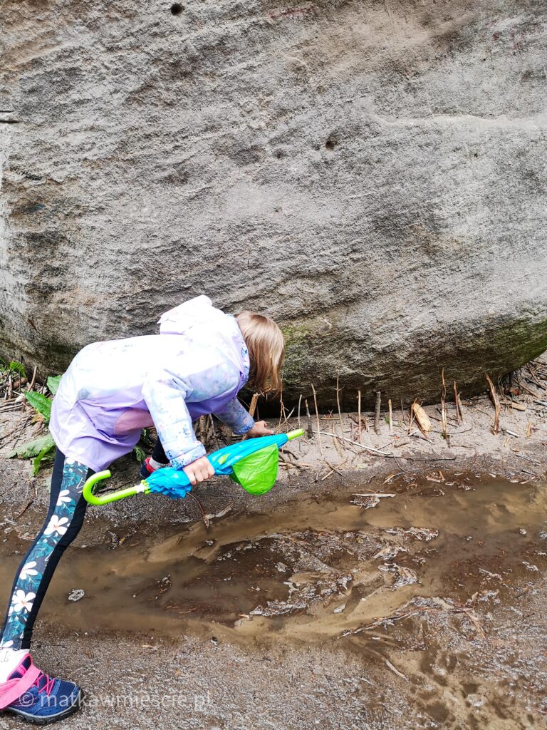 adrspach-podpieranie-skał